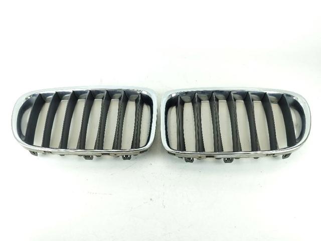Grelha do radiador para BMW X1 E84