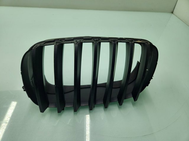 Grelha do radiador esquerda 51137171395 BMW