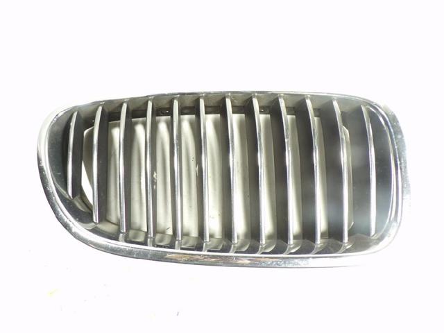 Grelha do radiador direita 51137200728 BMW