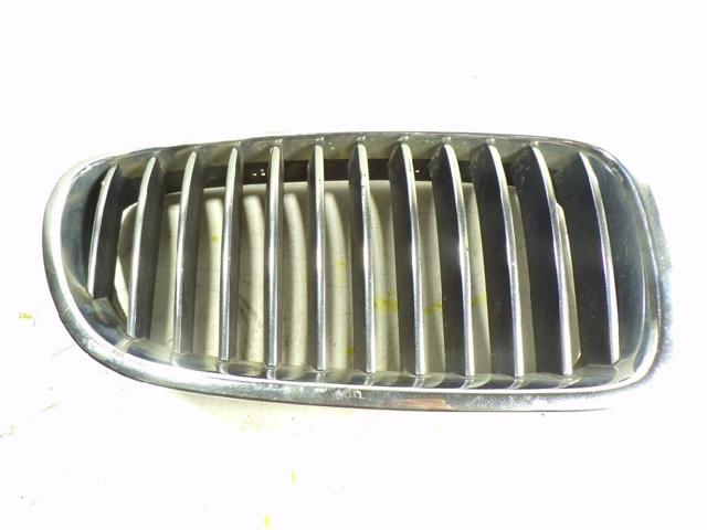 Grelha do radiador direita 51137200728 BMW