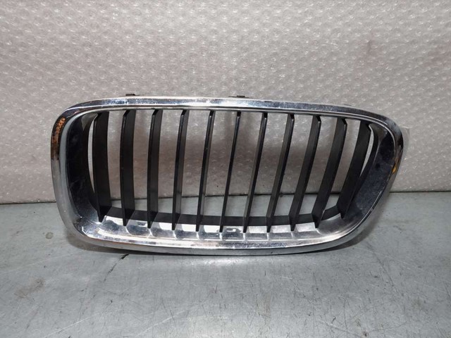 Grelha do radiador esquerda 51137255411 BMW