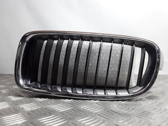 Grelha do radiador esquerda 51137255411 BMW