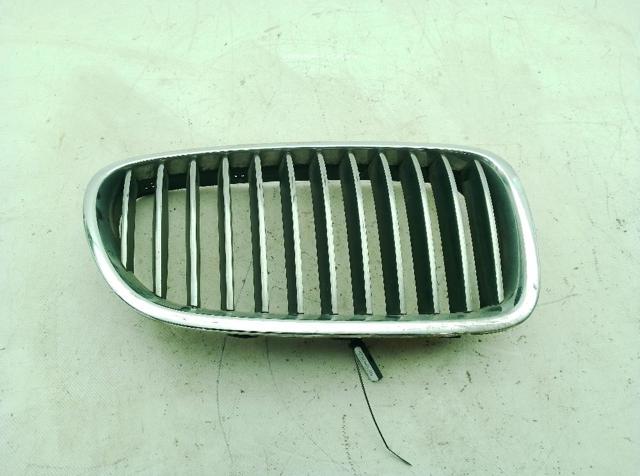 Grelha do radiador direita 51137412324 BMW
