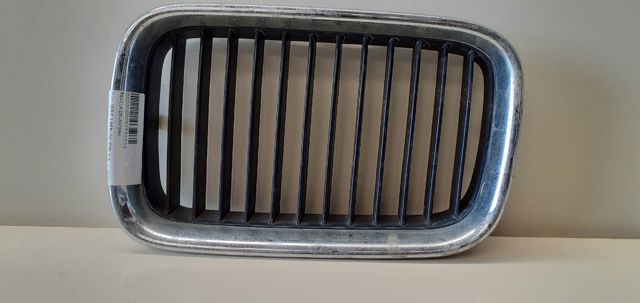 Grelha do radiador esquerda 51138122237 BMW