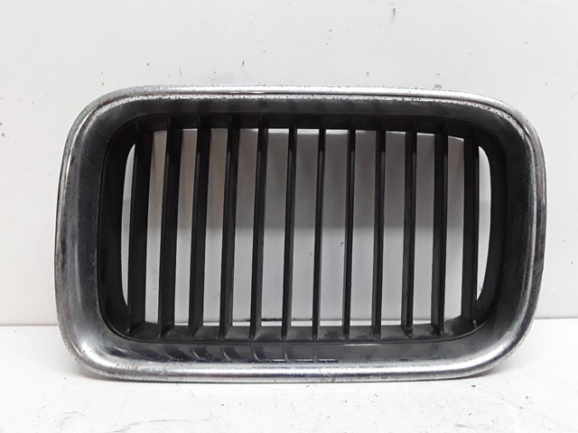 Grelha do radiador esquerda 51138122237 BMW