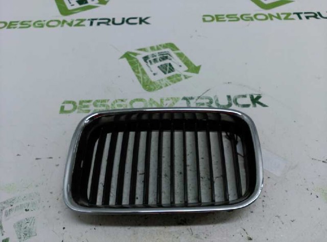 Grelha do radiador esquerda 51138122237 BMW