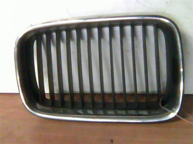 Grelha do radiador esquerda 51138195151 BMW