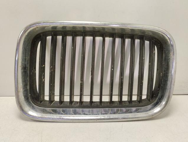 Grelha do radiador esquerda 51138195151 BMW