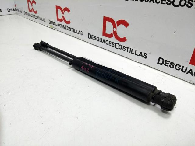 51237008745 BMW