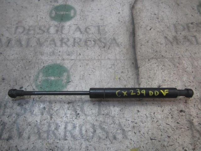 51238202688 BMW