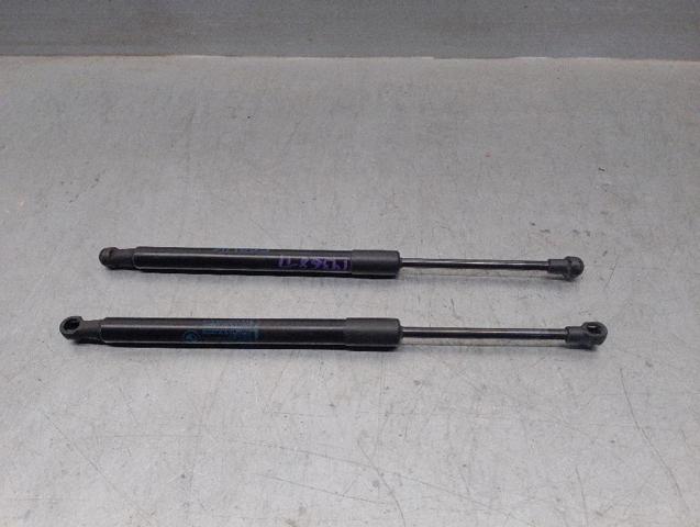 Amortecedor de tampa de porta-malas (de 3ª/5ª porta traseira) 51247166758 BMW