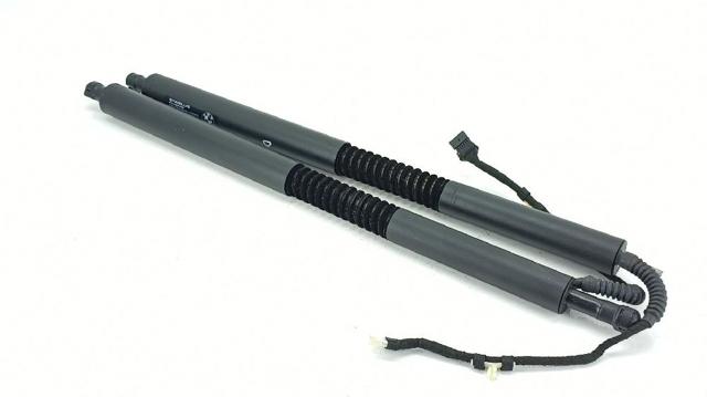 Amortecedor de tampa de porta-malas (de 3ª/5ª porta traseira) 51247298983 BMW