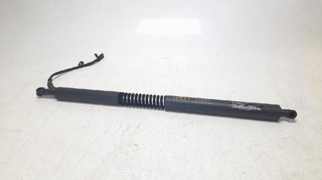 Amortecedor de tampa de porta-malas (de 3ª/5ª porta traseira) 51247298983 BMW