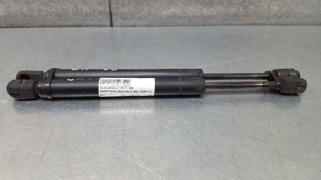 Amortecedor de tampa de porta-malas (de 3ª/5ª porta traseira) 51248151579 BMW