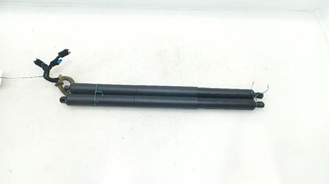 Amortecedor de tampa de porta-malas (de 3ª/5ª porta traseira) BMW X2  F39 ao melhor preço