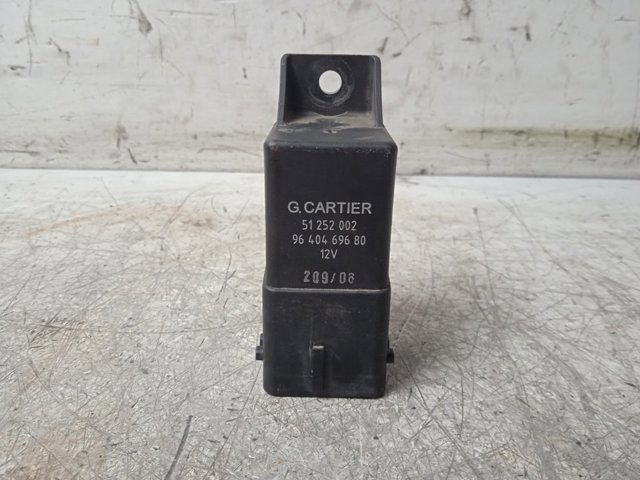 51252002 Peugeot/Citroen