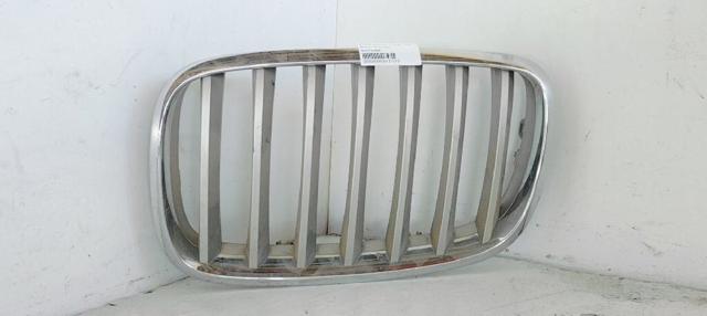 Grelha do radiador esquerda 51317157687 BMW