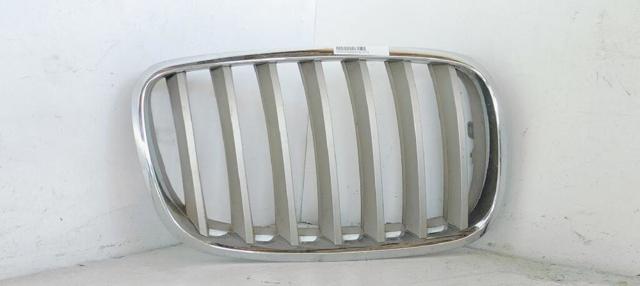 Grelha do radiador direita 51317157688 BMW