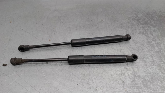 Amortecedor da capota 51327200197 BMW