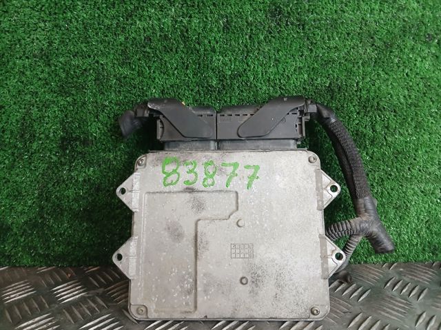 51796244 Fiat/Alfa/Lancia