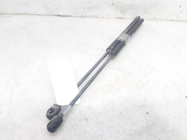 Amortecedor de tampa de porta-malas (de 3ª/5ª porta traseira) 51812267 FIAT
