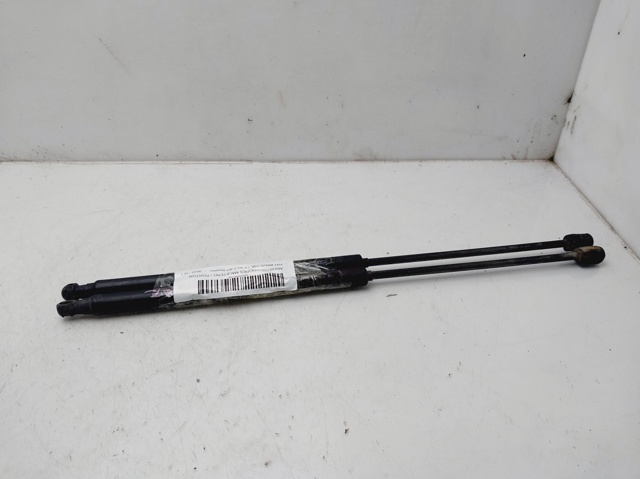 Amortecedor de tampa de porta-malas (de 3ª/5ª porta traseira) 51812267 FIAT