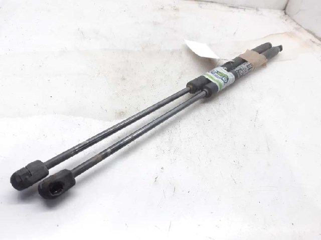 Amortecedor de tampa de porta-malas (de 3ª/5ª porta traseira) 51812267 FIAT