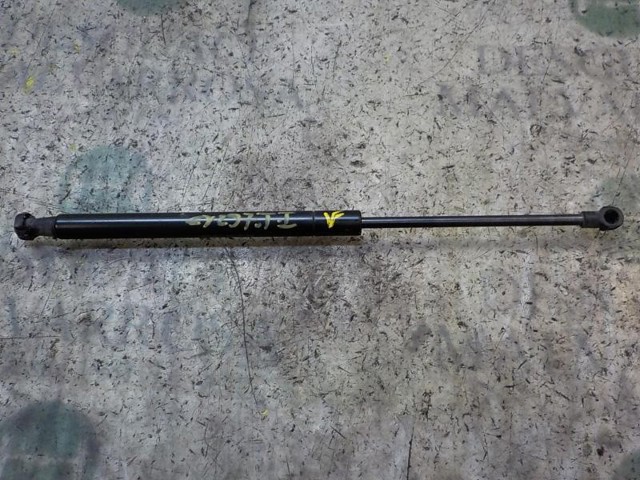 Amortecedor de tampa de porta-malas (de 3ª/5ª porta traseira) 51841634 FIAT