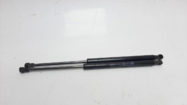 Amortecedor de tampa de porta-malas (de 3ª/5ª porta traseira) 518416340 FIAT