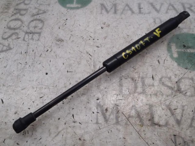 Amortecedor de tampa de porta-malas (de 3ª/5ª porta traseira) 51859320 FIAT