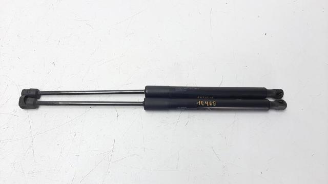 Amortecedor de tampa de porta-malas (de 3ª/5ª porta traseira) 52031518 FIAT