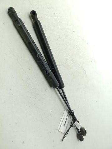 Amortecedor de tampa de porta-malas (de 3ª/5ª porta traseira) 52031518 FIAT