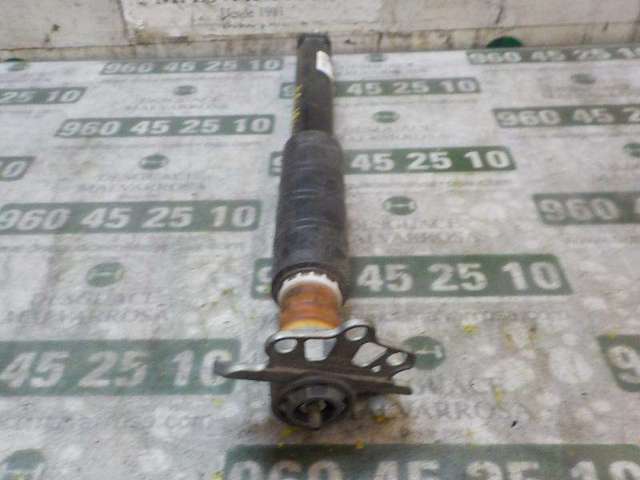 Amortecedor traseiro 52056455 FIAT