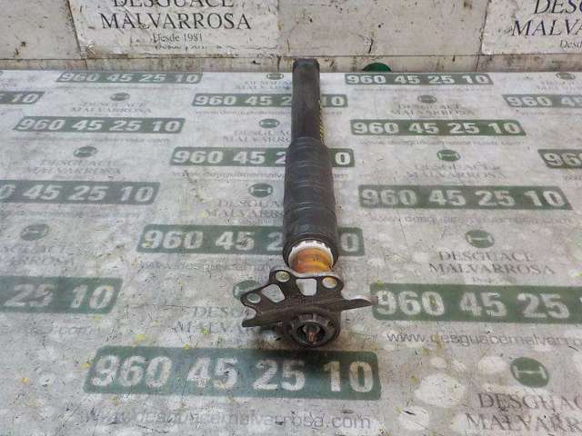 Amortecedor traseiro 52056455 FIAT