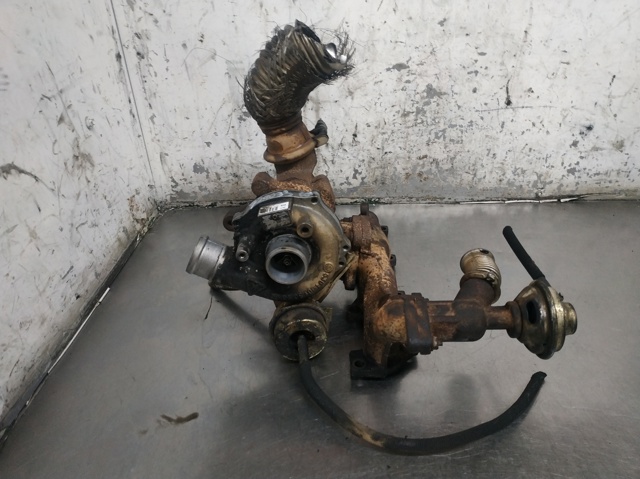 53041015096 Peugeot/Citroen