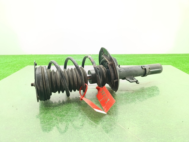 543025418R Renault (RVI)