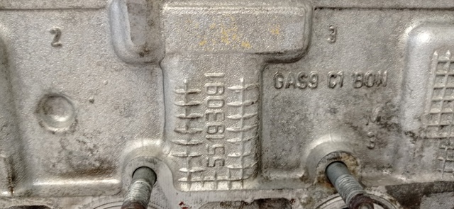 55193091 Fiat/Alfa/Lancia