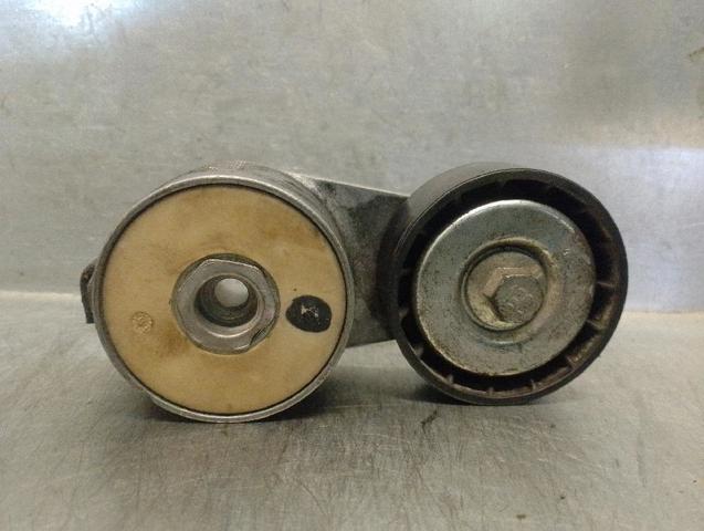 Reguladora de tensão da correia de transmissão 55195023 FIAT