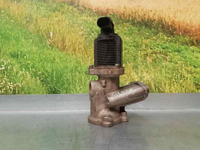 Válvula EGR de recirculação dos gases 55219498 OPEL