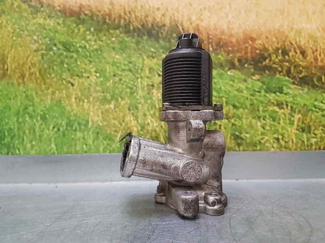 Válvula EGR de recirculação dos gases 55219499 FIAT