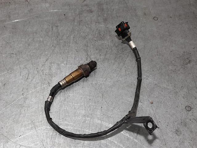 Sonda lambda, sensor direito de oxigênio depois de catalisador 55562205 OPEL
