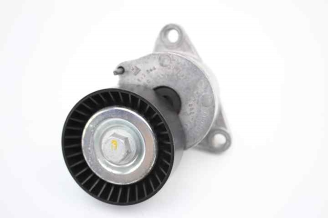 Rolo parasita da correia de transmissão 55562865 OPEL