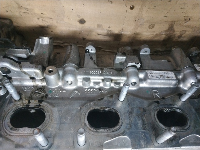 55571949 Opel