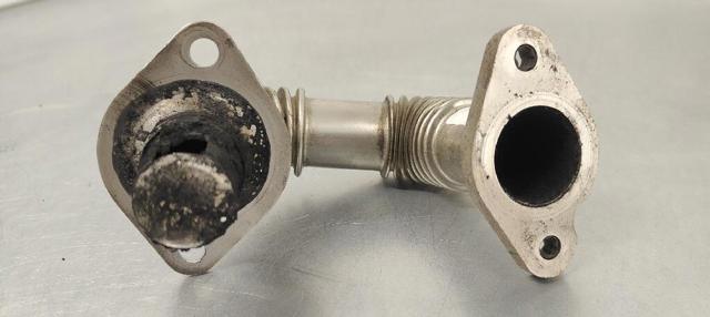 55574012 Opel