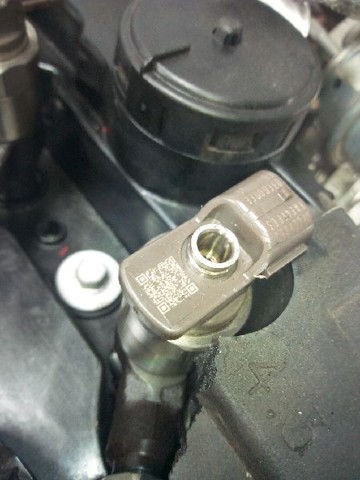 55578075 Opel