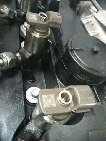55578075 Opel