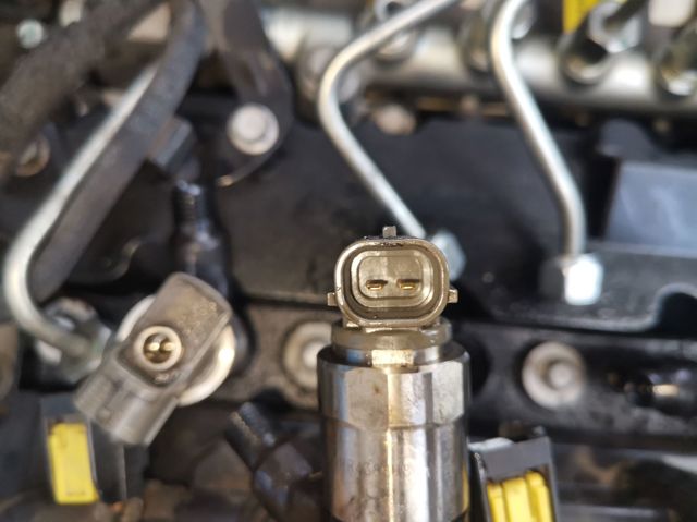 55578075 Opel