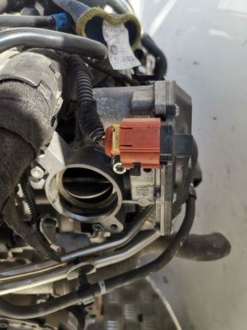 Válvula de borboleta montada 55581772 OPEL