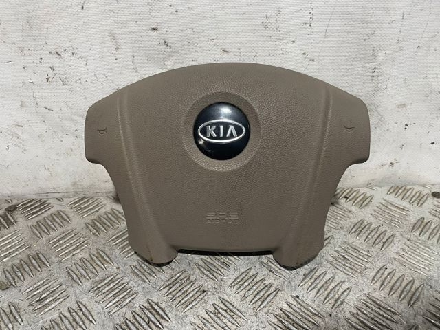569001F200 Hyundai/Kia