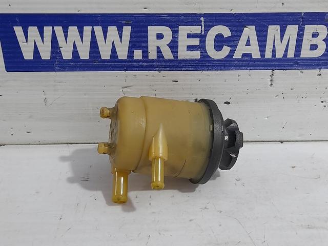 Tanque de bomba da Direção hidrâulica assistida Hyundai Santa Fe I SM ao melhor preço